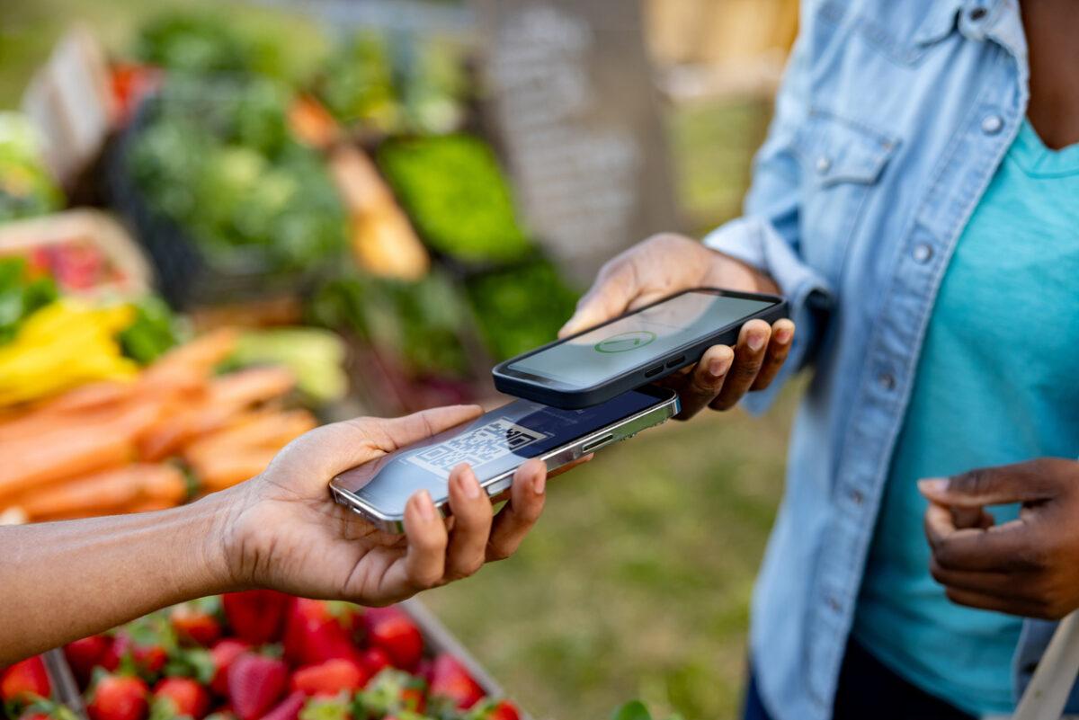 Financial Consumer Protection Standards for Digital Financial Services